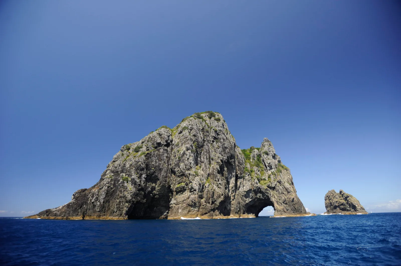 BerkleyWhite_NewZealand_2011_Topside_-173 (web)