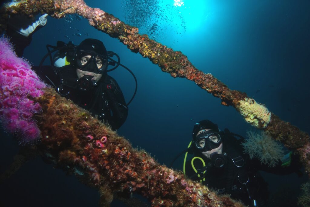 Two divers framed by jewel anemone-covered wreckage on the HMNZS Canterbury