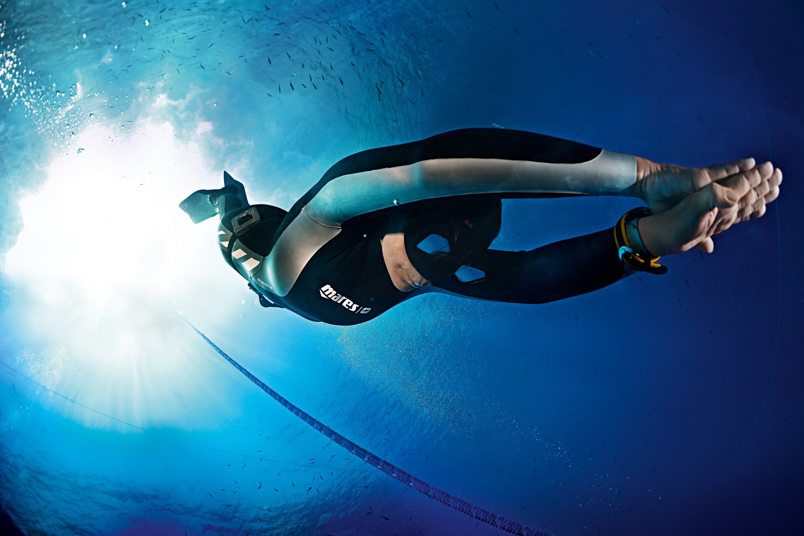 FREEDIVING DAY TRIP