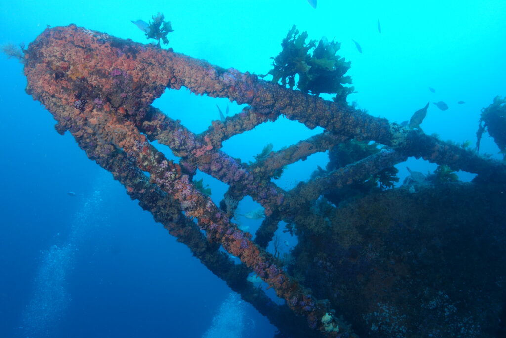 The encrusted bow frame of the Rainbow Warrior