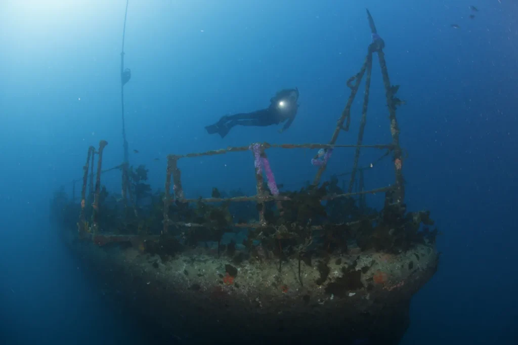 Divers above the bow of the HMNZS Canterbury wreck
