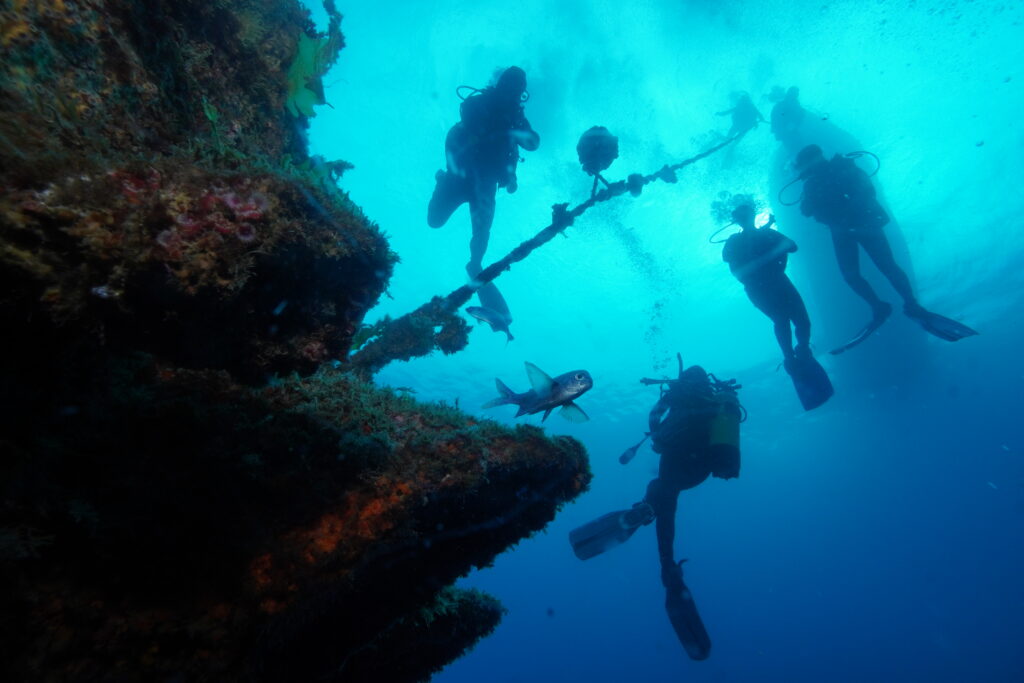 Divers ascending from the HMNZS Canterbury wreck