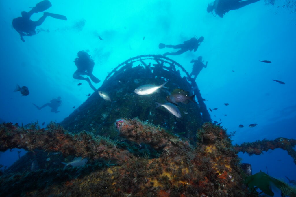 Divers at the funnel of the HMNZS Canterbury