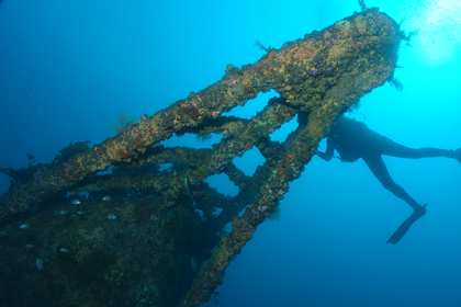A diver exploring the anemone-covered bow of the Rainbow Warrior