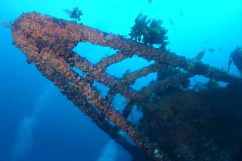 The Rainbow Warrior Dive: Craig’s Perspective