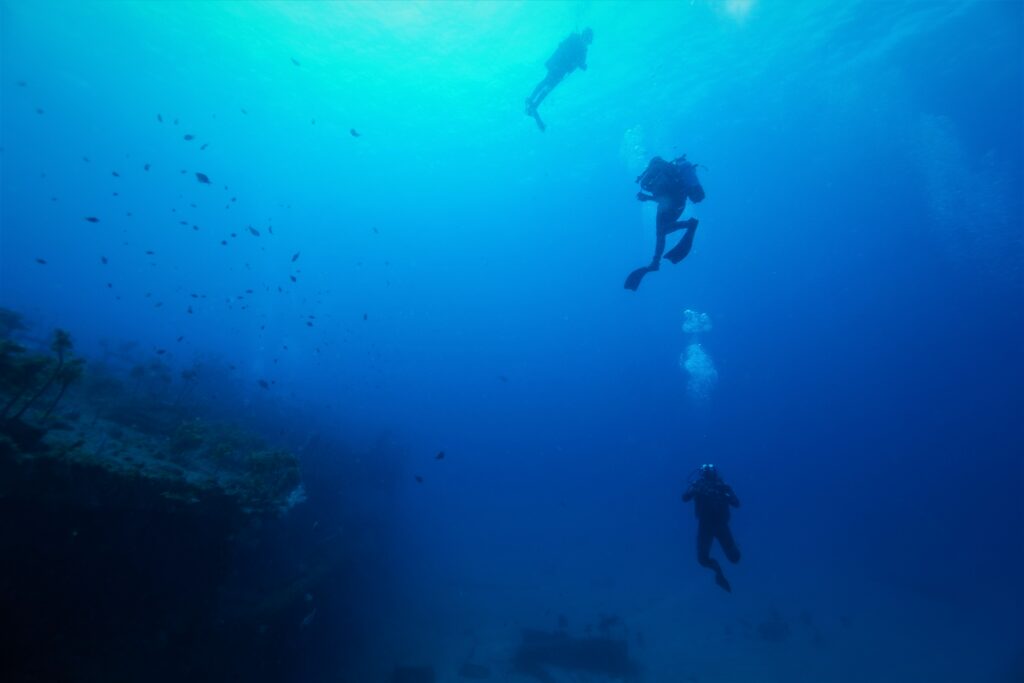 Divers descending to the Rainbow Warrior wreck