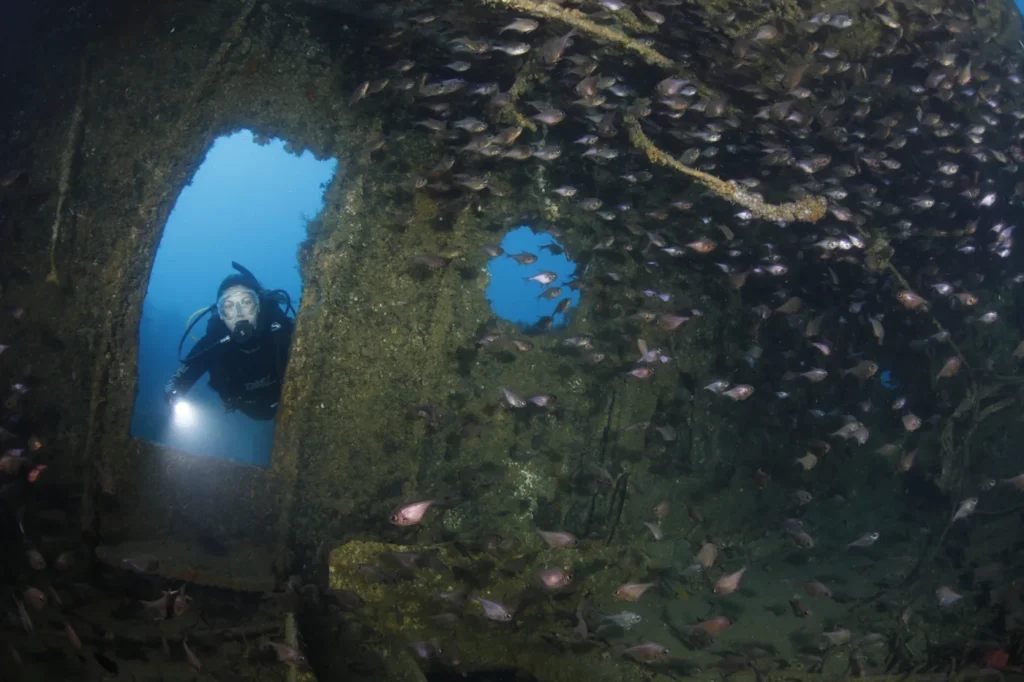 A diver in a doorway of the Rainbow Warrior wreck with a school of bigeyes