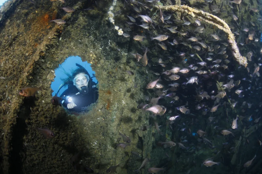 A diver looking through a porthole of the Rainbow Warrior wreck, surrounded by bigeye fish