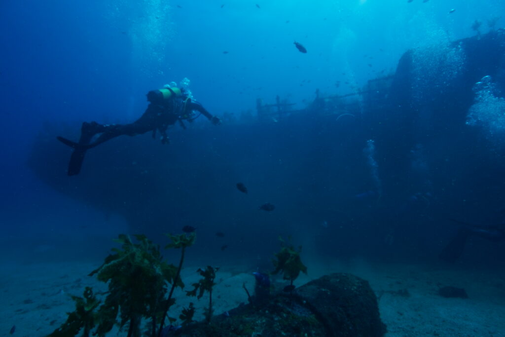 Diver swimming along the starboard side of the Rainbow Warrior