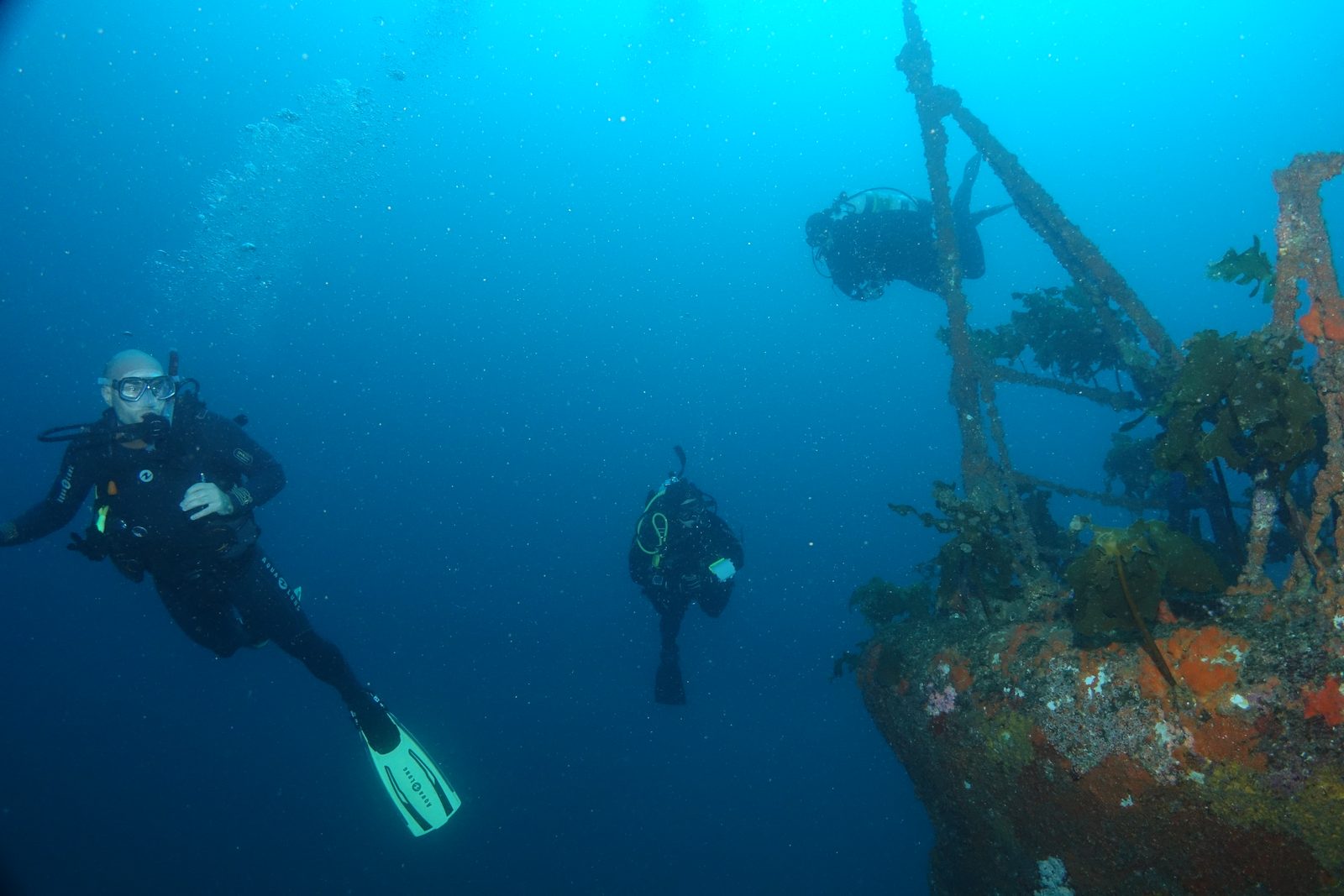 Divers approaching the structure of the Canterbury wreck in the Bay of Islands