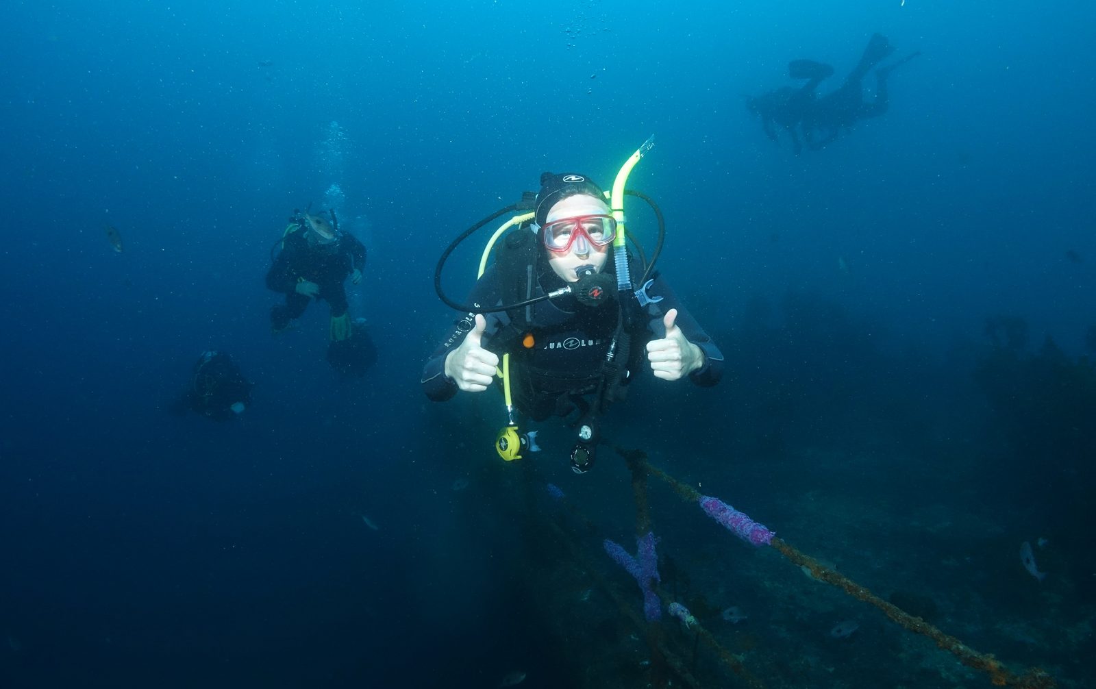 Diver giving a thumbs up on the deck of a Bay of Islands wreck